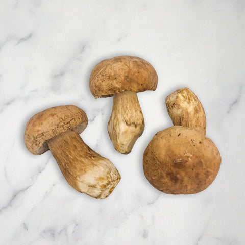 Porcini Mushrooms, Fresh Bruce White Ltd MUSH-POMU-0000942-147