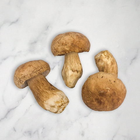 Porcini Mushrooms, Fresh Bruce White Ltd MUSH-POMU-0000942-147