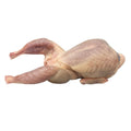 Quails, Oven Ready, Chilled, 4 x +/-200g HG Walter MEPO-SPEPO-0000384-147