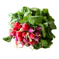 Rainbow Radishes, x 2 Bunches Nature's Choice Ltd GRGR-SPVG-0000699-147