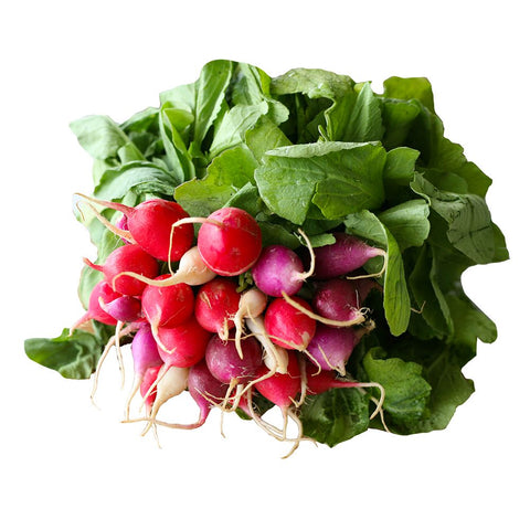 Rainbow Radishes, x 2 Bunches Nature's Choice Ltd GRGR-SPVG-0000699-147