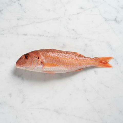 Red Mullet, Fresh, 4 x 300-500g