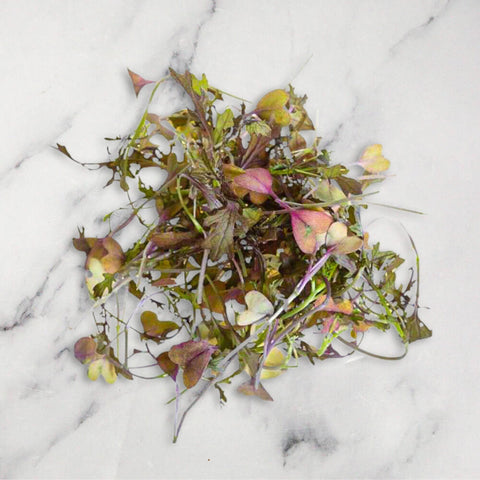 Red Mustard Frills, Micro Herb, 30g Nature's Choice Ltd GRGR-MIHE-0000314-147