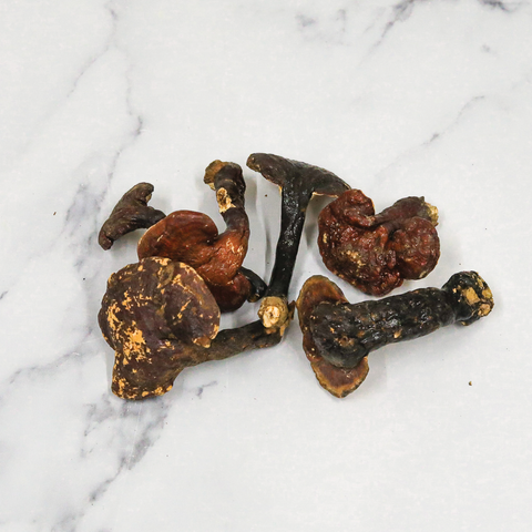 Red Reishi Mushooms, Dried Edible Fungus Co Ltd REISHI-170523-149