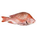 Red Snapper, Fresh, 2-3kg Reach Food Service Ltd SEAF-FRFI-022-redsnapper2-3