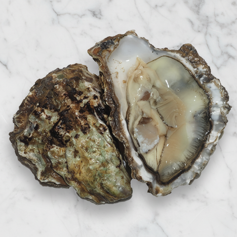 Rock Oysters, Fresh, x 25 Reach Food Service Ltd SEAF-SPSH-0000188-147