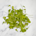 Rocket Micro Herb, 30g Nature's Choice Ltd GRGR-MIHE-0001294-147