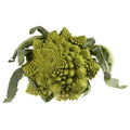 Romanesco, 1 x Head Nature's Choice Ltd GRGR-SPVG-0001463-147
