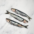 Sardines, Scaled & Gutted, Fresh, +/-2kg Reach Food Service Ltd NG-KBXY-MZX9