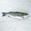 Sea Bass, Fresh, 2-3kg Reach Food Service Ltd SEAF-FRFI-000-35776-147-2-3