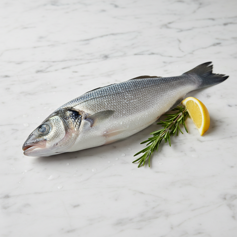 Sea Bass, Fresh, 800g-1kg Reach Food Service Ltd SEAF-FRFI-000-3526-147