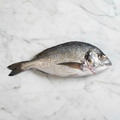 Sea Bream on white marble
