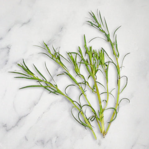 Sea Rosemary Micro Herb, 30g