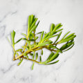 Sea Rosemary Micro Herb, 30g Nature's Choice Ltd GRGR-MIHE-0001432-147