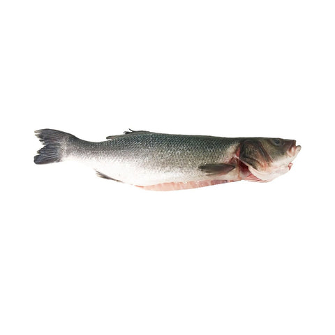 Sea Bass, Fresh, 1-2kg Reach Food Service Ltd SEAF-FRFI-000-3772-147