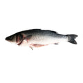 Sea Bass, Fresh, 800g-1kg Reach Food Service Ltd SEAF-FRFI-000-3526-147