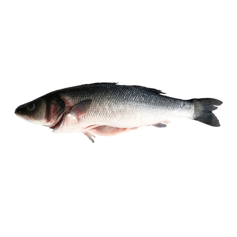 Sea Bass, Fresh, 800g-1kg Reach Food Service Ltd SEAF-FRFI-000-3526-147