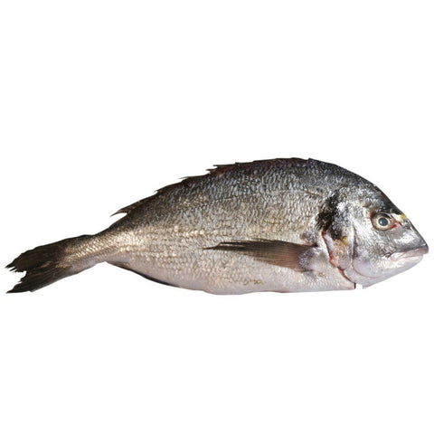 Sea Bream, Fresh, 2 x 6-800g Reach Food Service Ltd SEAF-FRFI-000-2732-147