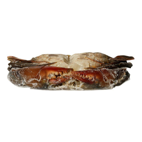 Soft Shell Crabs, Frozen, (x 14), 1kg Classic Fine Foods UK Ltd SEAF-FRFS-0000230-148