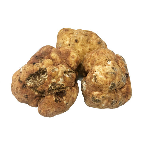 Spring White Truffle (Tuber Albidium Pico), Fresh