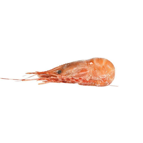 Botan Ebi Wild Spot Prawns, Sashimi, Frozen, 500g