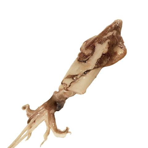 Squid, Fresh & Whole, 300-500g each, +/-2kg Reach Food Service Ltd SEAF-SPSH-0000532-147