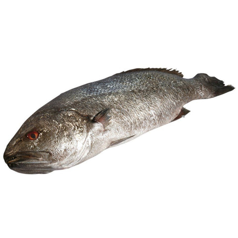 Stonebass, Fresh, +/-3.5kg Reach Food Service Ltd SEAF-FRFI-000-2735-147