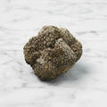 Summer Truffle, Frozen, +/-100g Fine Food Specialist
