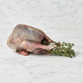 Tender Young Grouse, Oven-Ready, Fresh x 2 HG Walter MEPO-SPEPO-0000719-148