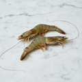 Tiger Prawns, Fresh, 2kg (20/30 per kg) Reach Food Service Ltd SEAF-SPSH-0000545-147
