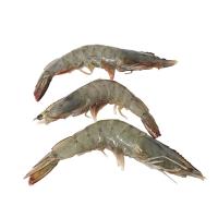 Whole Tiger Prawns, Frozen Raw, (Net Weight: +/-700g, 16-20)
