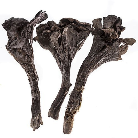 Trompette de la Mort, Dried Mushroom Man Ltd MUSH-DRMU-0001366-149