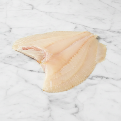 Turbot Fillets, Fresh