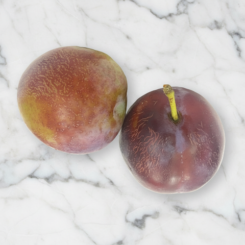 Victoria Plums, 1kg Nature's Choice Ltd GRGR-SPFR-08-victoriaplums