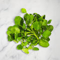 Watercress, x 3 Bunches Nature's Choice Ltd GRGR-SPVG-0001885-147