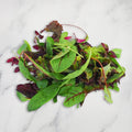 Westlands Baby Leaf Salad, 120g Nature's Choice Ltd GRGR-SPVG-0003797-147
