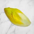 White Chicory, +/-1kg All Greens GRGR-SPVG-0003805-147