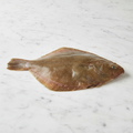 Whole Brill, Fresh, 1-2kg Reach Food Service Ltd SEAF-FRFI-0000168-147