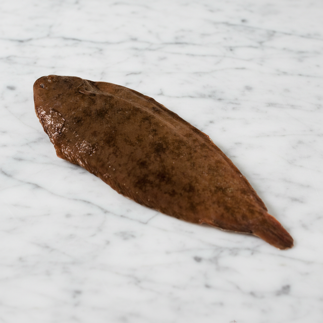 Buy Fresh Dover Sole Online & in London UK – Fine Food Specialist