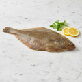 Whole Lemon Sole, Fresh, 2 x 400/600g Reach Food Service Ltd SEAF-FRFI-0000119-147