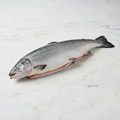 Whole Salmon, Fresh, Scaled & Gutted, +/-4.5kg Reach Food Service Ltd SEAF-FRFI-0000145-147