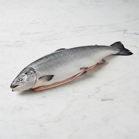 Whole Salmon, Fresh, Scaled & Gutted, +/-4.5kg Reach Food Service Ltd SEAF-FRFI-0000145-147