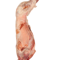 Whole Pyrenean Milk-Fed Lamb, Fresh, +/-7.5kg Classic Fine Foods UK Ltd MEPO-SPLA-0000159-147