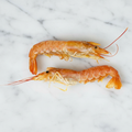 Wild Argentinian Prawns, Frozen Raw, +/-1kg Reach Food Service Ltd SEAF-SPSH-0002640-148