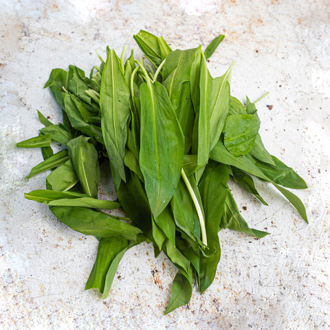 Wild Garlic