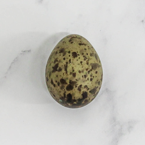 Wild Gulls' Eggs, Each Fine Food Specialist LIMITED SPEG-0000485-147