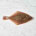 Wild Plaice, 2 x +/- 450-650g Reach Food Service Ltd SEAF-FRFI-0003498-147