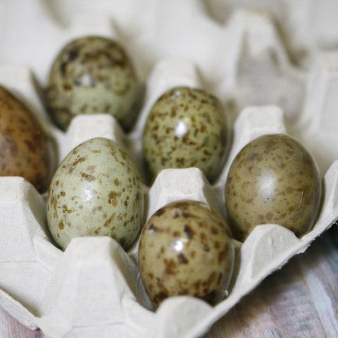 Wild Gulls' Eggs, Each