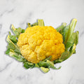 Yellow Cauliflower European Salad Company Limited GRGR-SPVG-0000728-147