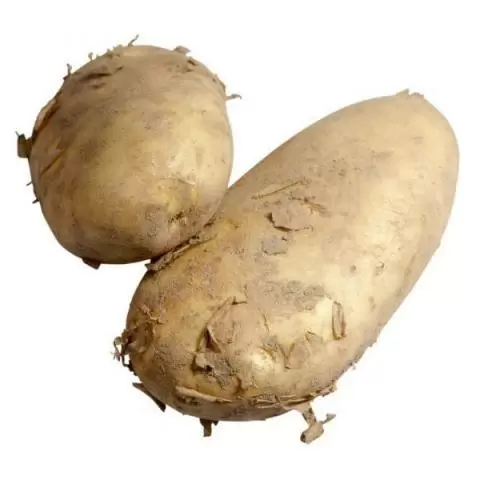 jersey royals for sale